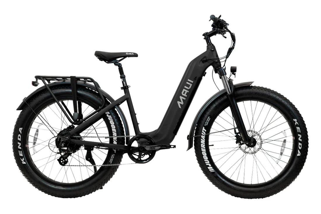 Fat Bike Clearance Sale